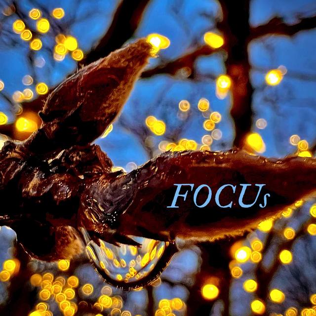 "FOCUS" over a water droplet on a branch with lights