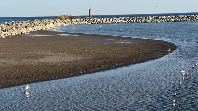 red lighthouse on the breakwater, sand, gull, buoy line. Lakefront general; the surfing cards (#57–#59) want surfers, so this stays general.