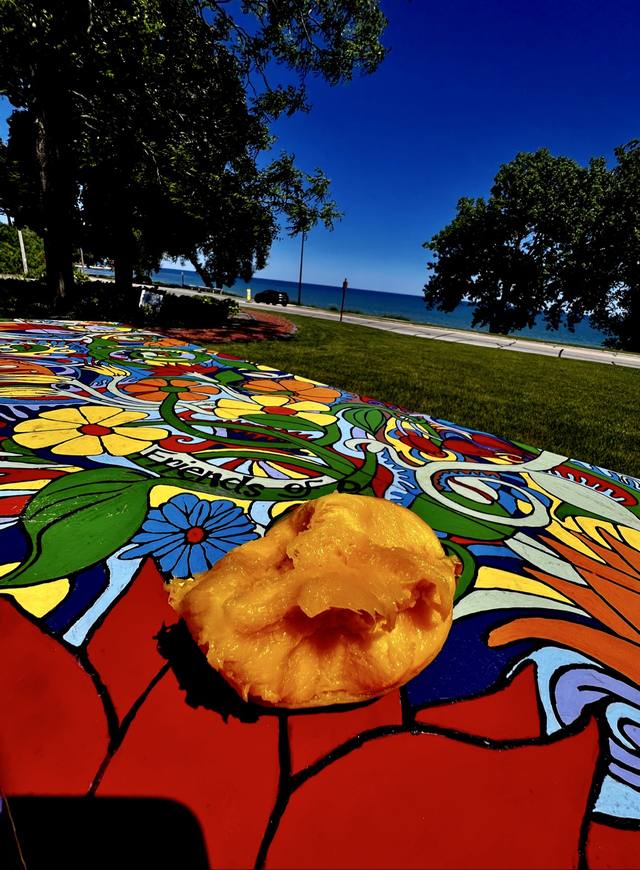 painted mural picnic table ("Friends of …") by the lake with a mango on it