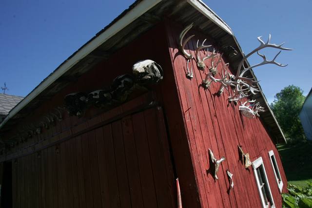 red barn with antlers and animal skulls mounted on the walls